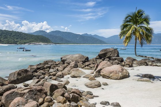 Ilha Grande (Abraao)