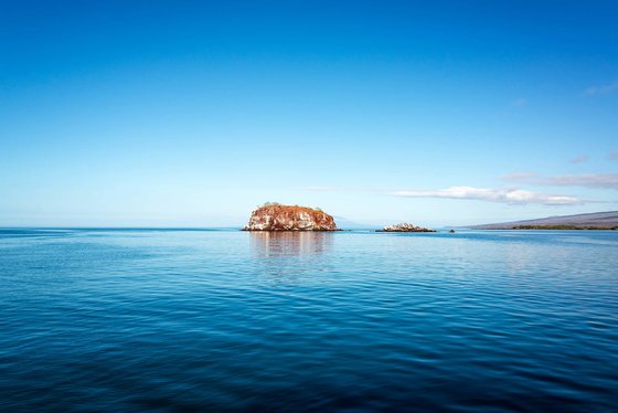 Elizabeth Bay (Galapágy, Isabella)