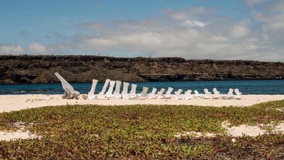 Mosquera Island (Galapágy)