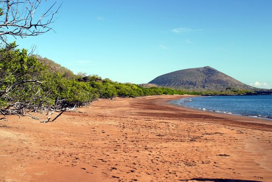 Espumilla Beach (Ostrov Santiago, Galapágy)