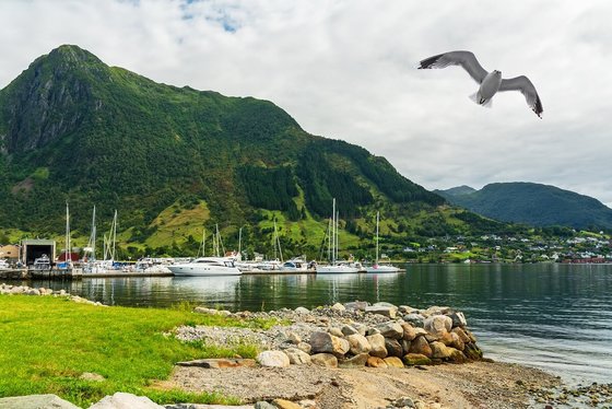 Rosendal