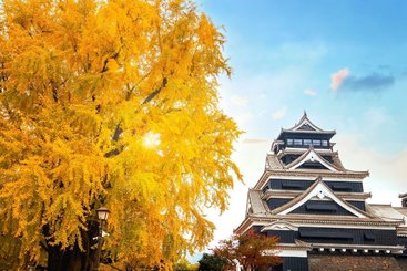 Kumamoto