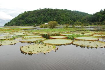 Boca da Valeria
