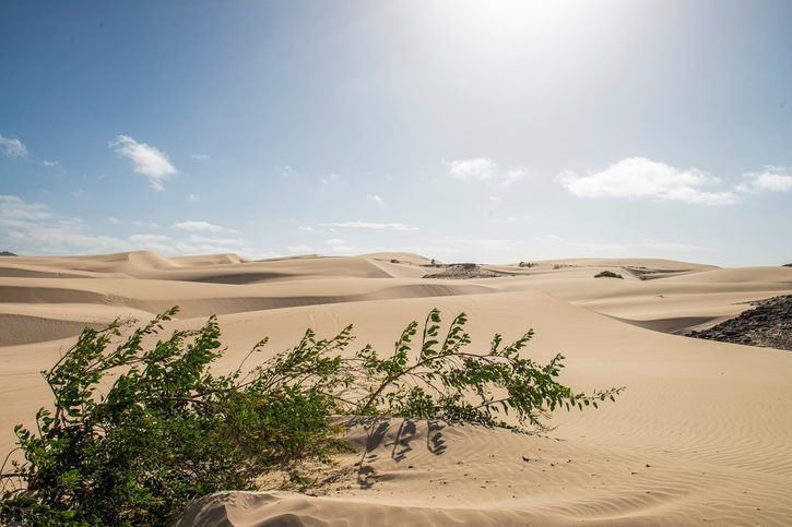 Boa vista - Piesočná krajina 