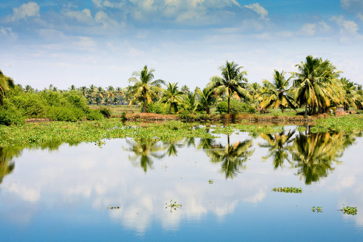 Kerala Backwaters - síť kanálů řek a jezer v Kóčin