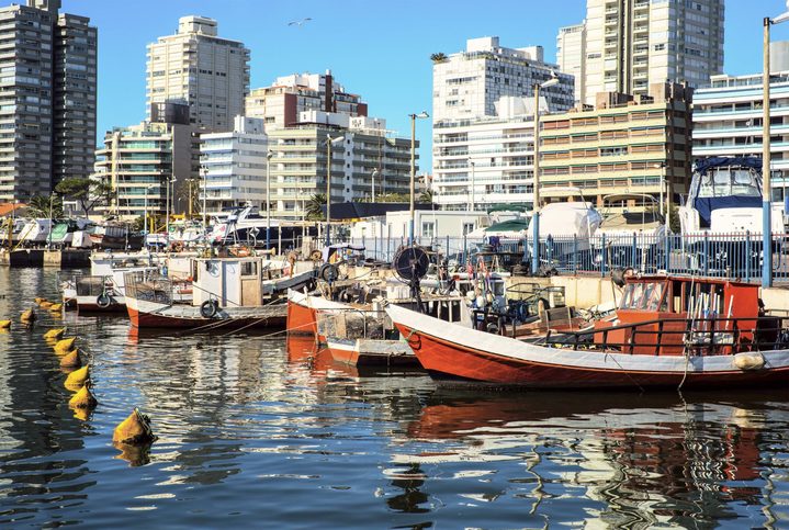 Rybářské lodě a pohled na město, Punta del Este, Uruguay