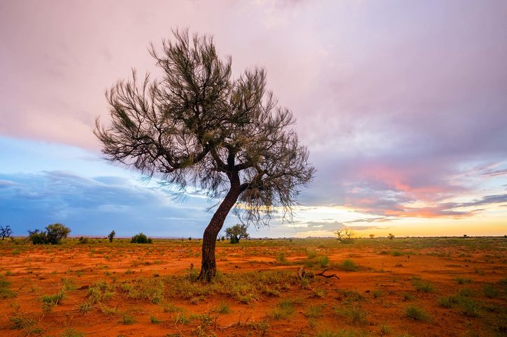 Port hedland - Port-Hedland3