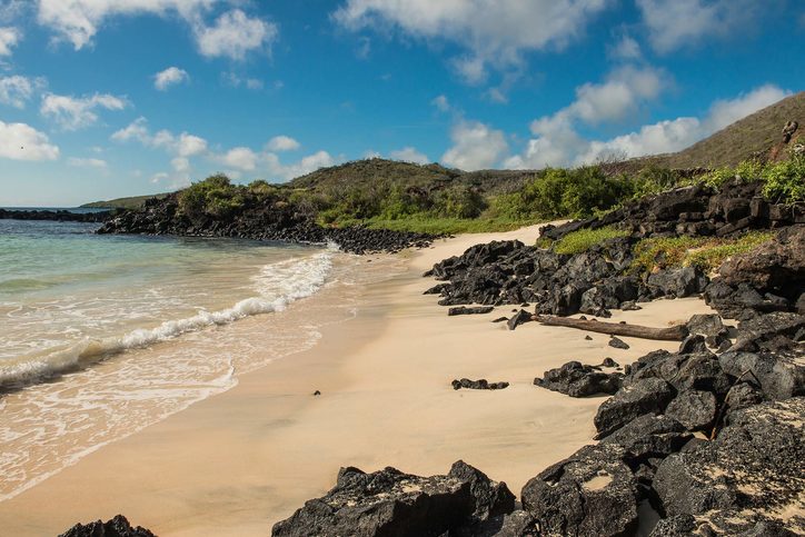 Pohled na pláž v Punta Cormorant, Floreana, Galapágy