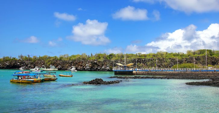 Puerto ayora (santa cruz) - Puerto-Ayora