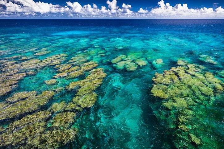 Tropický korálový útes na Upolu, ostrovy Samoa, ideální pro šnorchlování