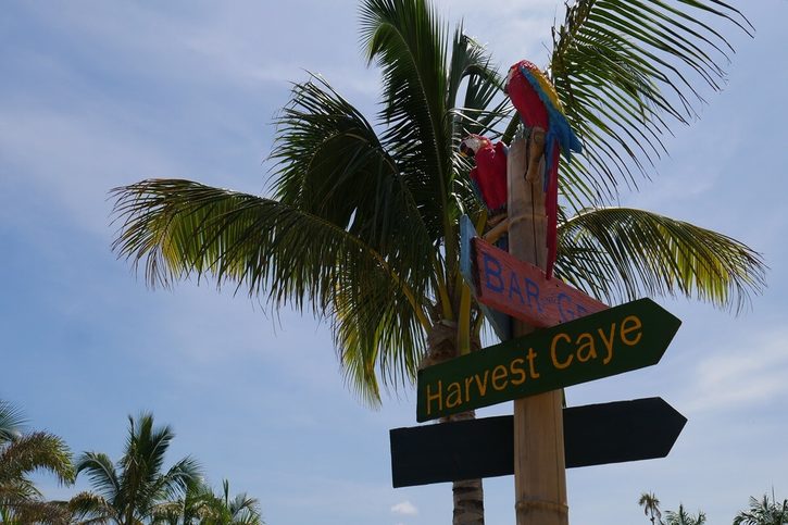 Harvest Caye - Drevená tabuľa Harvest Caye s papagájmi.