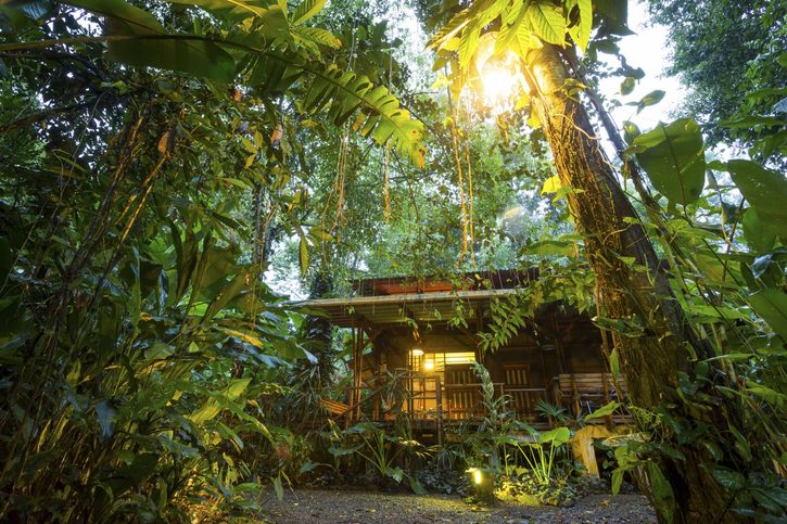 Chata v pralese v Puerto Limon, Kostarika