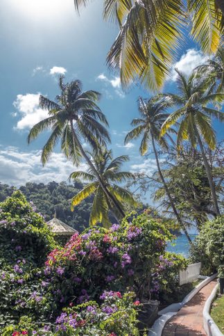 Pohled k Marigot Bay, Svatá Lucie