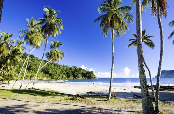 Maracas Bay – Užijte si nádherné místo, které splňuje všechny předpoklady ideální karibské pláže, stejně jako úchvatnou cestu deštných pralesem, která vás k němu dovede, Trinidad