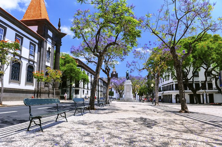 Panorama města Funchal s hlavní ulicí za slunečného letního dne, Portugalsko