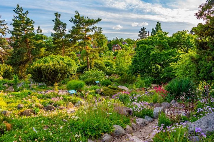 Aarhus - Botanická záhrada.