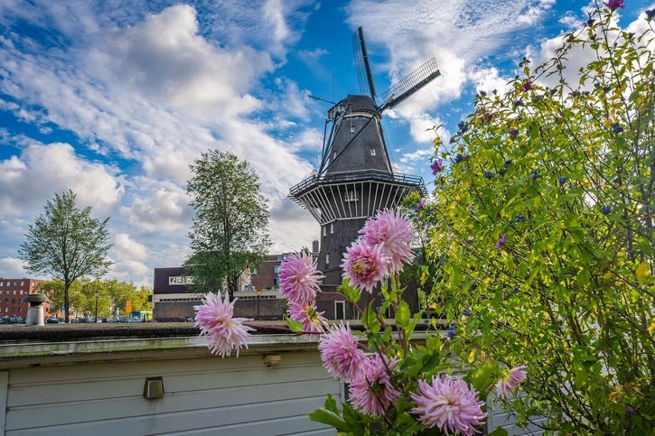 Ijmuiden(Amsterdam) - mlyn De Gooyer 