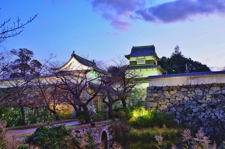 Fukuoka Castle Shiomi Tower v Maizuru park Fukuoka, Maizuru, Japonsko