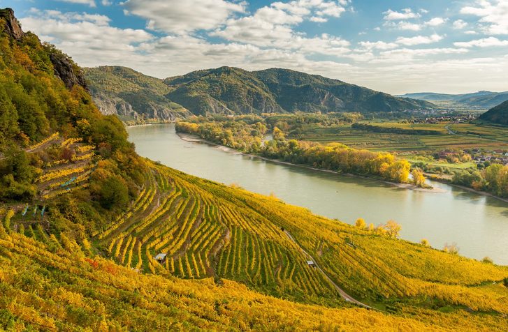 Wachau - Wachau (4)