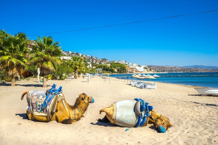 Bodrum – Pláž Camel v Biteze Bodrum – Pláž Camel v Biteze