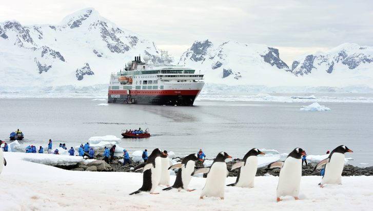 Ms fram - 16245-ms-fram-antarctica-penguins