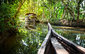 Dřevěná plavba lodí v stojatých vodách džungle v Kochin, Kerala, Indie