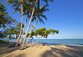 Krásná tropická pláž s palmami v Cairns