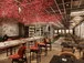 Restaurace Sakura - Explora I