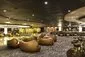 Safari Lounge - MSC Preziosa