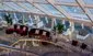 Salonek MSC Yacht Club - MSC World Asia