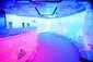 Ice Bar - Norwegian Epic