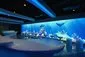 Galaxy Pavilion, Wonder Wall - Norwegian Joy