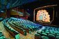 Divadlo Stardust - Norwegian Pearl