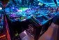 Laser Tag - Mariner of the Seas