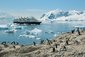 Silver explorer - 39494-silver-explorer-antarctica-penguins