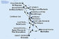 Barbados, Svätý Vincent a Grenadiny, Grenada, Martinik, Guadeloupe, Svatý Martin, Antigua a Barbuda, Svätý Krištof a Nevis, Dominika, Svätá Lucia z Bridgetownu na lodi MSC World Asia