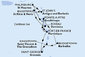 Barbados, Svätý Vincent a Grenadiny, Grenada, Martinik, Guadeloupe, Svatý Martin, Antigua a Barbuda, Svätý Krištof a Nevis, Dominika z Bridgetownu na lodi MSC World Asia
