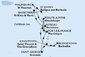 Barbados, Svätý Vincent a Grenadiny, Grenada, Martinik, Guadeloupe, Svatý Martin, Antigua a Barbuda, Svätý Krištof a Nevis, Dominika z Bridgetownu na lodi MSC World Asia