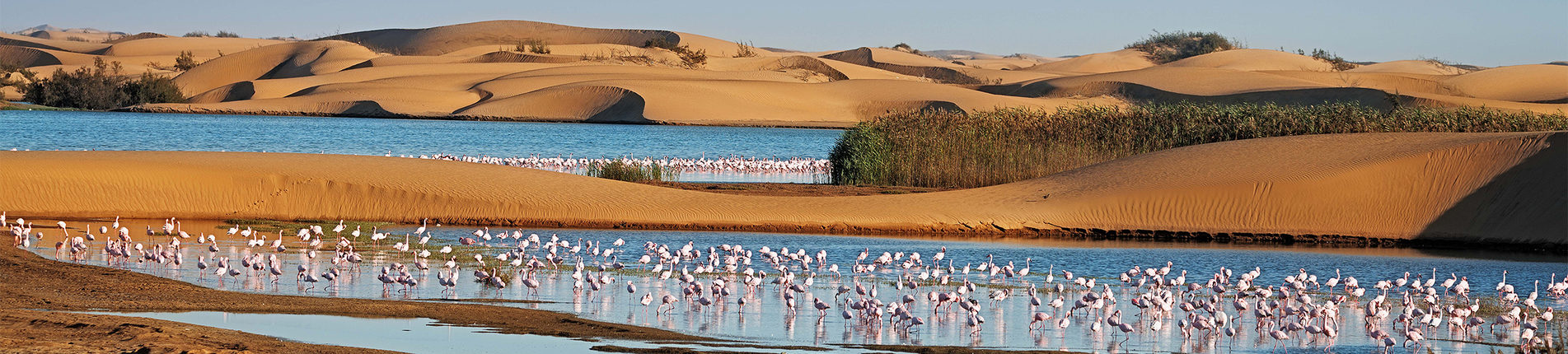 Walvis Bay