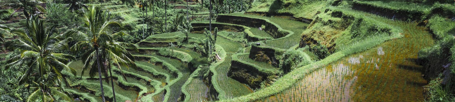 Benoa (Bali), Indonesia