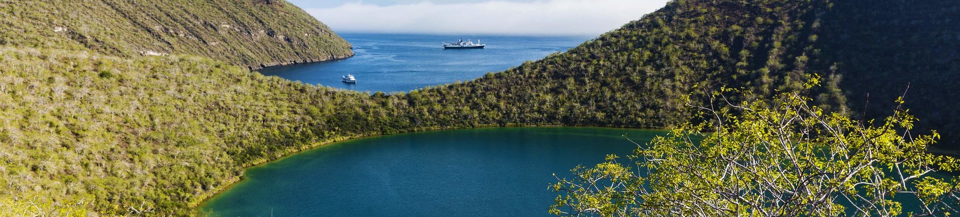 Tagus Cove (Galapágy, Isabella)